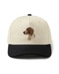 German Shorthair Pointer