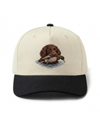Boykin Spaniel