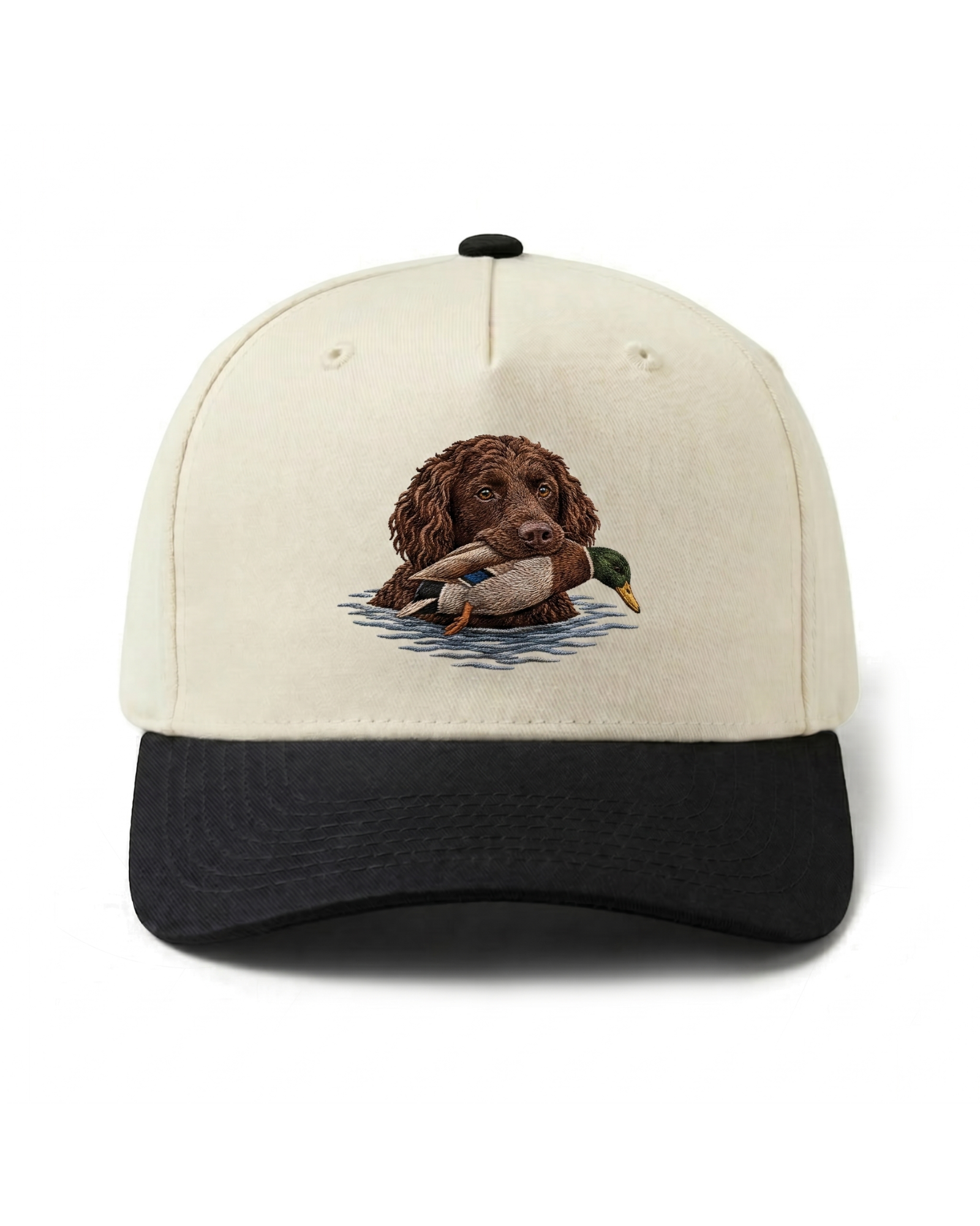 Boykin Spaniel