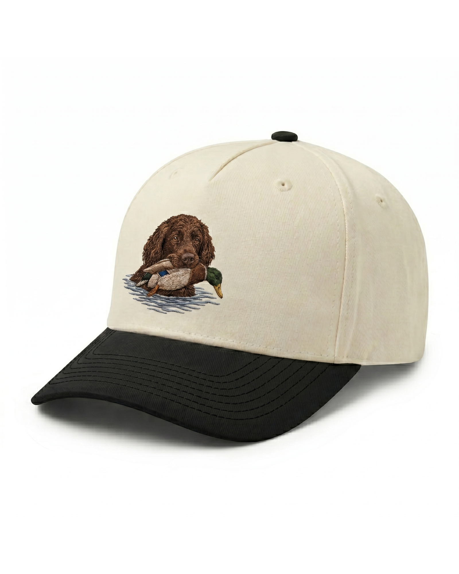 Boykin Spaniel