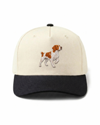 Brittany Spaniel
