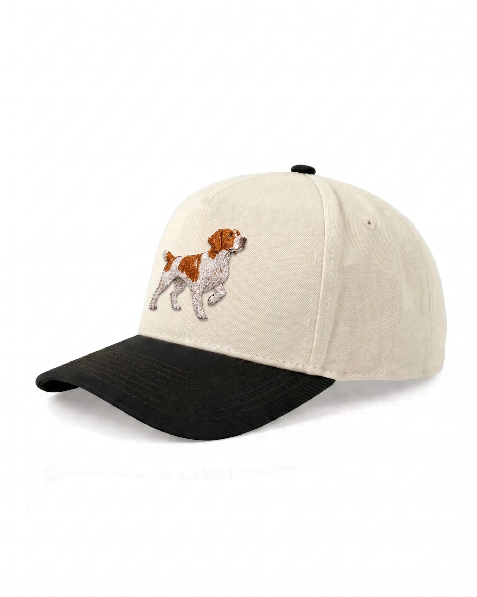 Brittany Spaniel