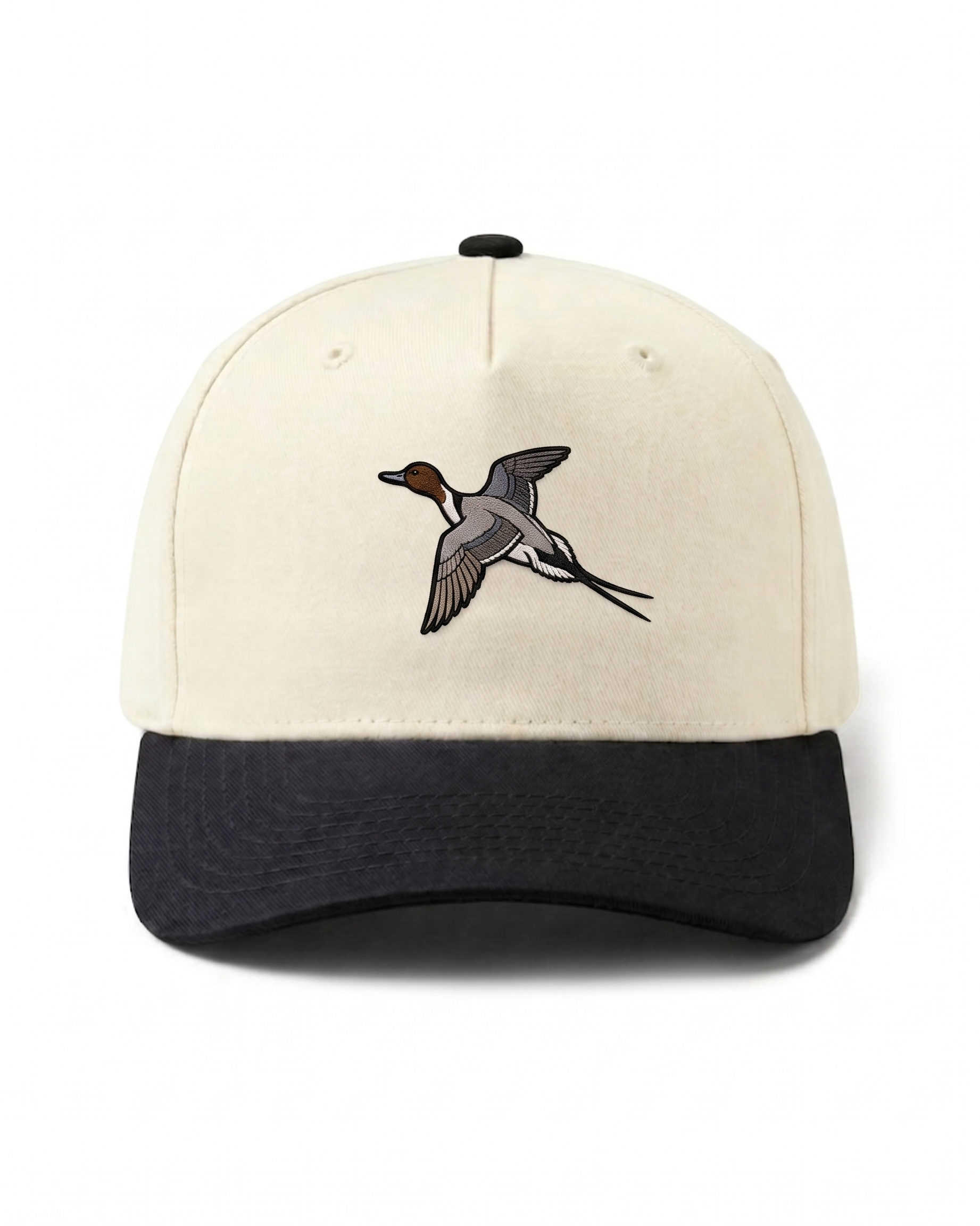 Pintail Drake