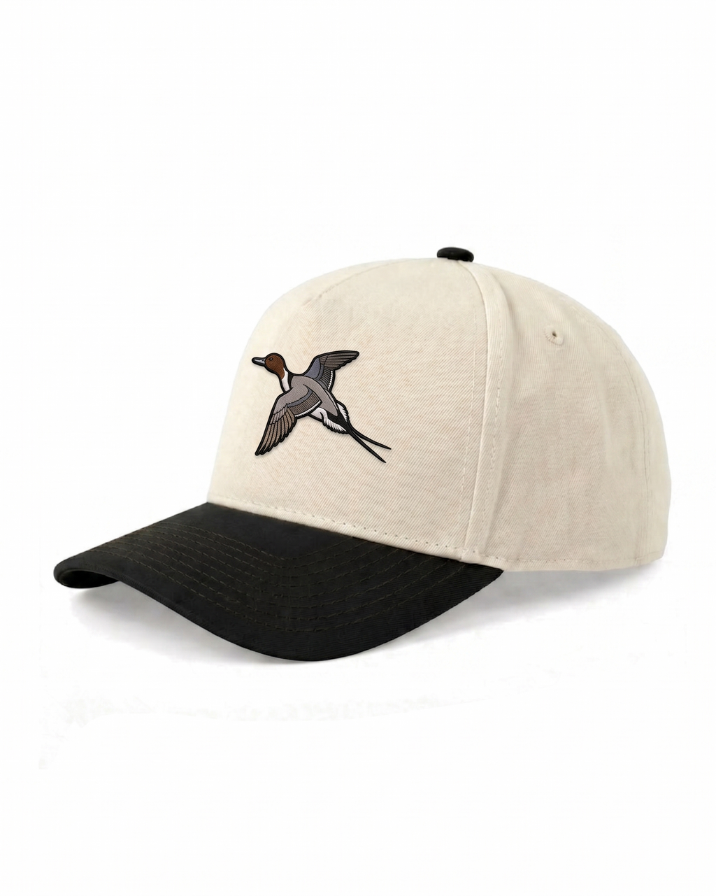 Pintail Drake