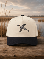 Pintail Drake